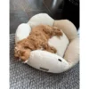 Discount Flora hundeseng Small 57 x 57 cm Beige Hundesenge Og Kurve Til Hunde - Bløde Og Komfortable