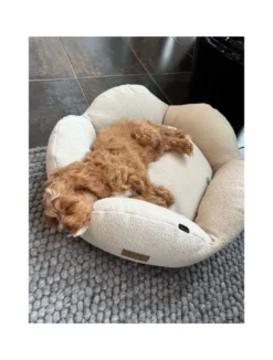 Discount Flora hundeseng Small 57 x 57 cm Beige Hundesenge Og Kurve Til Hunde - Bløde Og Komfortable