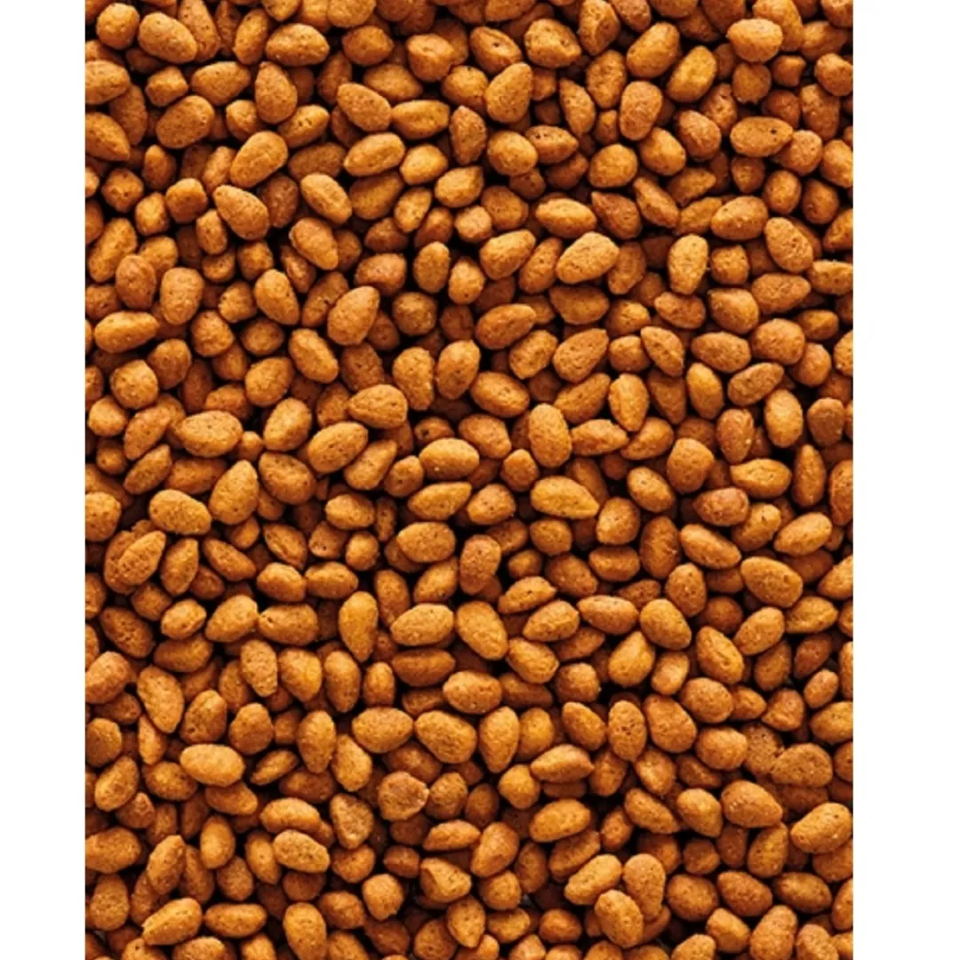 Online Nutribird G 14 Original Parakit 1 kg Fuglefoder