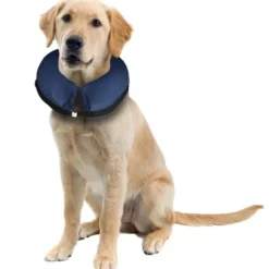 Clearance Oppustelig halskrave L 40-60 cm Hundetilbehør Til Hvalpe - Tryg Start I Hverdagen|Tilbehør Til Hund - Alt Til En Glad Og Tryg Hverdag For Din Bedste Ven