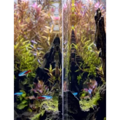 Online OptiBent Sæt Day and Night 20 L 25x25x30 cm Sort Akvarier