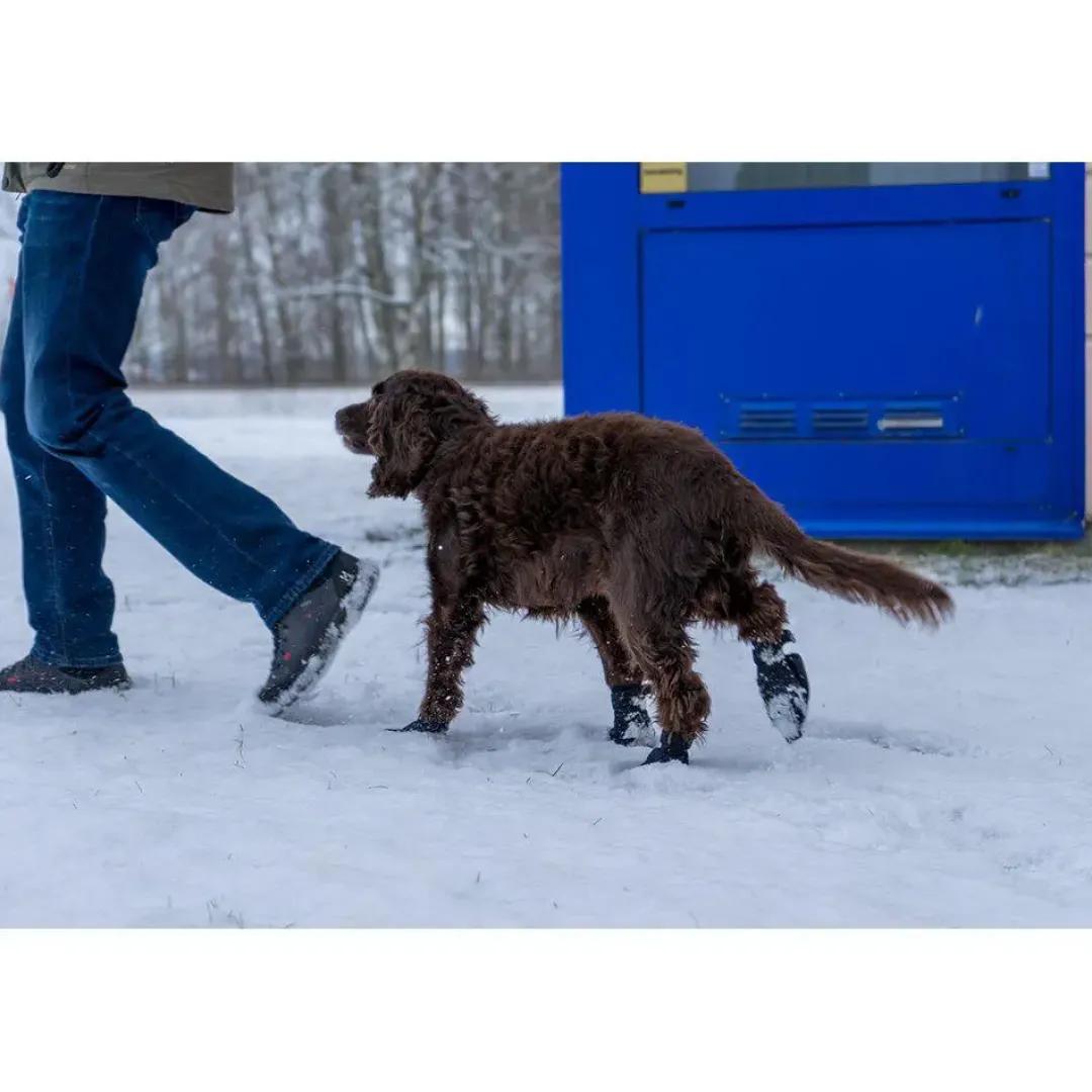 Sale hundesokker L sort - bløde sokker til store hundepoter Hundetøj Til Hvalpe - Varme Dækkener Og Sko Til Trygge Gåture|Hundetøj Til Alle Hunde Med Varme Dækkener Og Sko