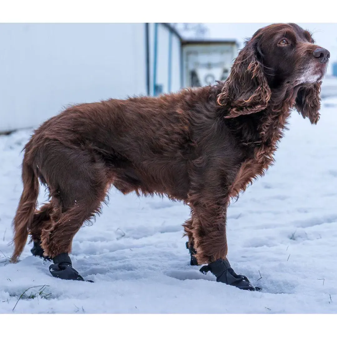 Sale hundesokker S sort - 4 stk let beskyttelse til poter Hundetøj Til Hvalpe - Varme Dækkener Og Sko Til Trygge Gåture|Hundetøj Til Alle Hunde Med Varme Dækkener Og Sko