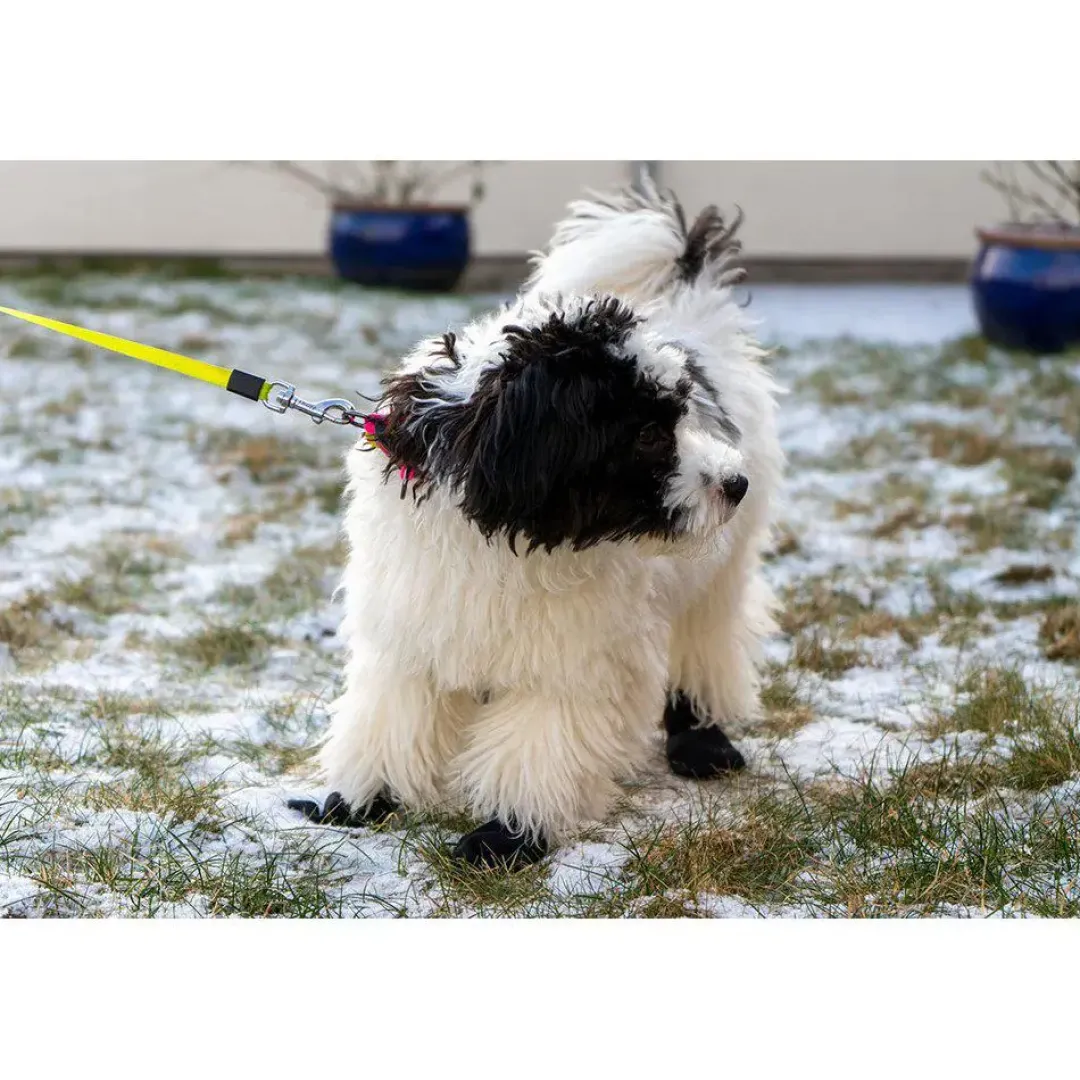 Sale hundesokker S sort - 4 stk let beskyttelse til poter Hundetøj Til Hvalpe - Varme Dækkener Og Sko Til Trygge Gåture|Hundetøj Til Alle Hunde Med Varme Dækkener Og Sko