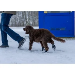 Online hundesokker XS sort - 4 stk til små hundepoter Hundetøj Til Hvalpe - Varme Dækkener Og Sko Til Trygge Gåture|Hundetøj Til Alle Hunde Med Varme Dækkener Og Sko