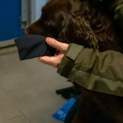 Online hundesokker XS sort - 4 stk til små hundepoter Hundetøj Til Hvalpe - Varme Dækkener Og Sko Til Trygge Gåture|Hundetøj Til Alle Hunde Med Varme Dækkener Og Sko