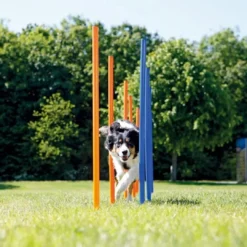 Discount Hunde Agility Slalom 12 stk pæle - sjov hundetræning Hundelegetøj Til Alle Hunde Leg Og Aktivering Året Rundt|Legetøj Til Hvalpe - Sjov Leg, Aktivering Og Tryghed Fra Første Dag