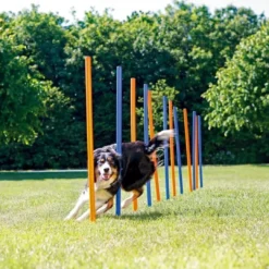Discount Hunde Agility Slalom 12 stk pæle - sjov hundetræning Hundelegetøj Til Alle Hunde Leg Og Aktivering Året Rundt|Legetøj Til Hvalpe - Sjov Leg, Aktivering Og Tryghed Fra Første Dag