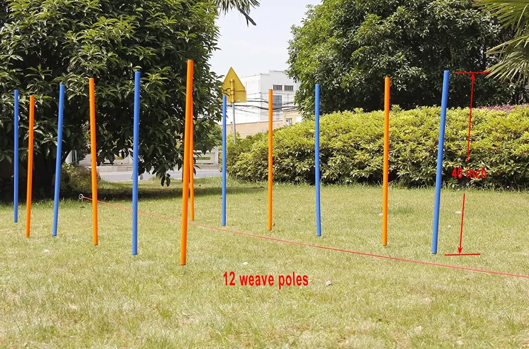 Discount Hunde Agility Slalom 12 stk pæle - sjov hundetræning Hundelegetøj Til Alle Hunde Leg Og Aktivering Året Rundt|Legetøj Til Hvalpe - Sjov Leg, Aktivering Og Tryghed Fra Første Dag