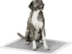 Outlet Hvalpeunderlag med Carbon 60 x 60 cm Plejemidler Til Hund Med Fokus På Sundhed Og Velvære|Pleje Af Hvalpe - Alt I Plejemidler Til Pels, Poter Og Hud