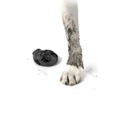 Best Pawz hundesko Large 10,2 cm sort Hundetøj Til Hvalpe - Varme Dækkener Og Sko Til Trygge Gåture|Hundetøj Til Alle Hunde Med Varme Dækkener Og Sko