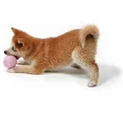 Discount Hvalpelegetøj BALU Pink 8x6x6 cm - sød bamse til hvalpe Hundelegetøj Til Alle Hunde Leg Og Aktivering Året Rundt|Legetøj Til Hvalpe - Sjov Leg, Aktivering Og Tryghed Fra Første Dag