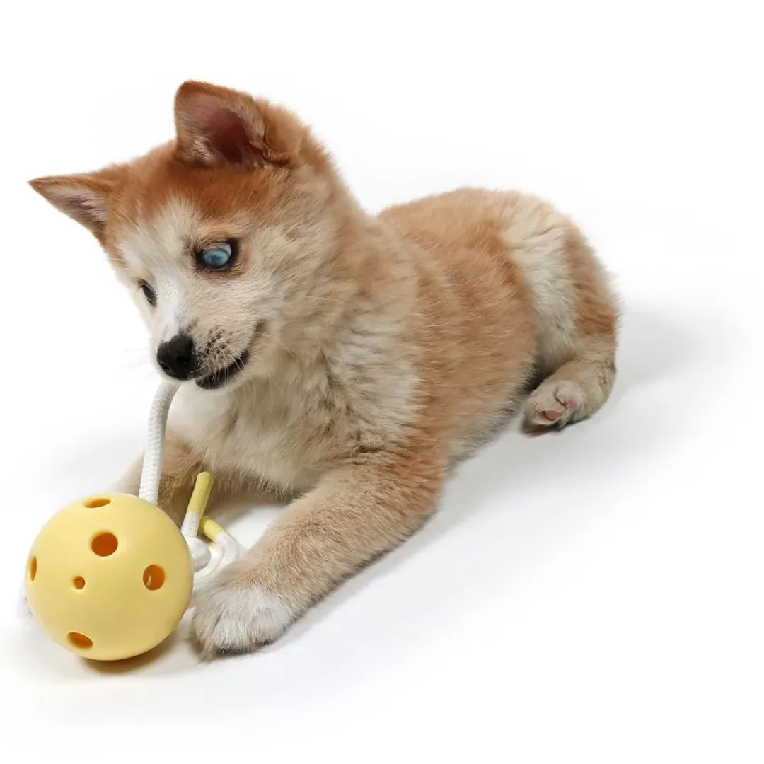 Hot Hvalpelegetøj MILO Yellow 18x7x7 cm - bamse til små hvalpe Hundelegetøj Til Alle Hunde Leg Og Aktivering Året Rundt|Legetøj Til Hvalpe - Sjov Leg, Aktivering Og Tryghed Fra Første Dag