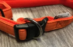 Hundehalsbånd i Neopren Orange M - let og komfortabelt hundehalsbånd Hvalpehalsbånd - Bløde Og Sikre Halsbånd Med Perfekt Pasform Til Din Hvalp|Hundehalsbånd Med Stil - Komfort Og Sikkerhed Til Din Hund