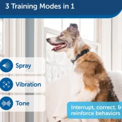 Best Anti-Gø 300 m Remote Spray Trainer Tilbehør Til Hund - Alt Til En Glad Og Tryg Hverdag For Din Bedste Ven