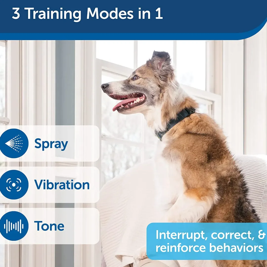 Best Anti-Gø 300 m Remote Spray Trainer Tilbehør Til Hund - Alt Til En Glad Og Tryg Hverdag For Din Bedste Ven
