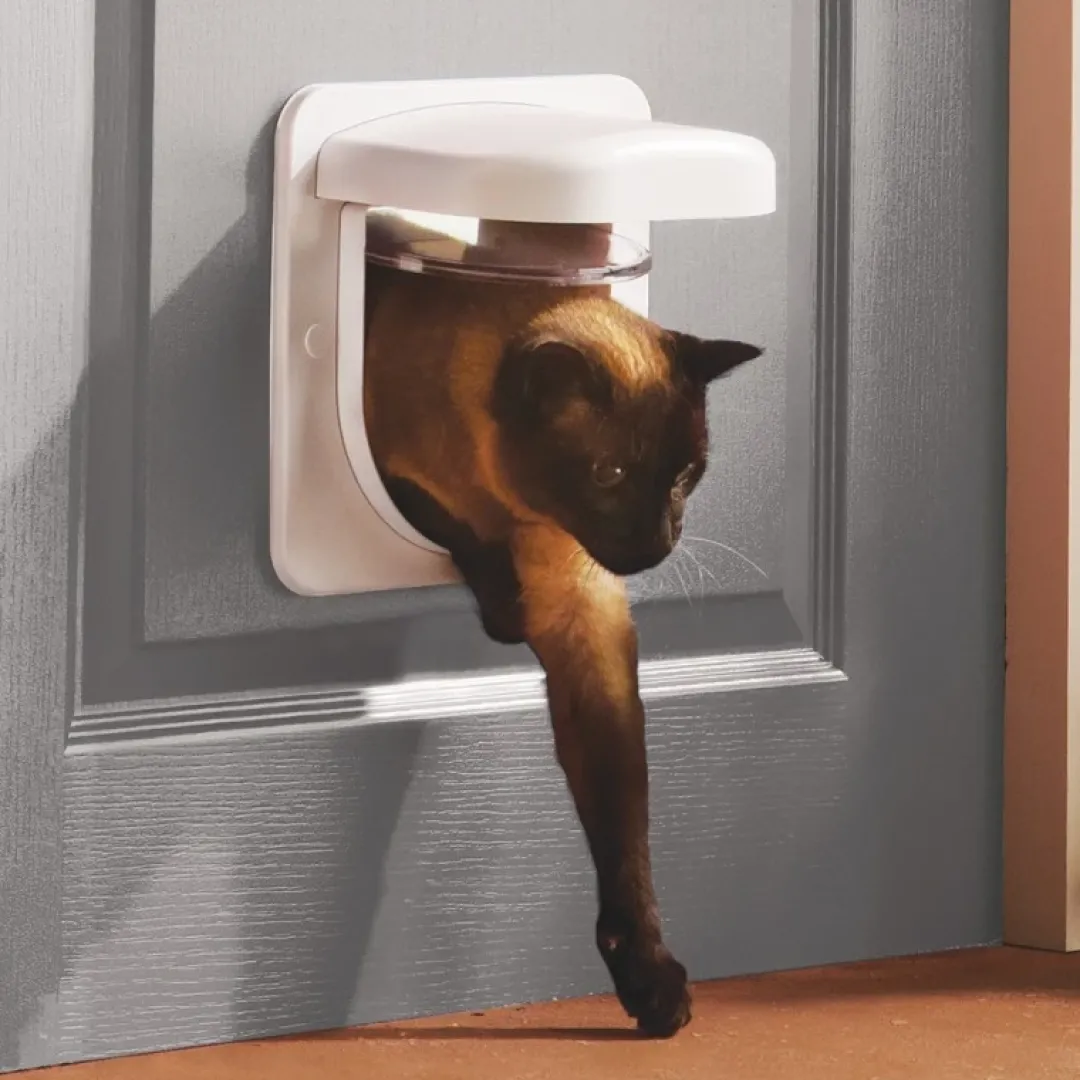 Discount Microchip Kattelem Hvid Kattelemme - Med Eller Uden Chip