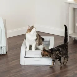 Hot ScoopFree Auto Clumping Litterbox Kattetoilet PAL10-17992 Kattetoiletter Og Kattegrus|Killingetoilet Og Grus Til Killinger - Nem Renlighed Fra Start