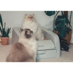 Hot ScoopFree Auto Clumping Litterbox Kattetoilet PAL10-17992 Kattetoiletter Og Kattegrus|Killingetoilet Og Grus Til Killinger - Nem Renlighed Fra Start