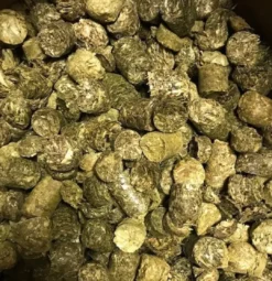 Testudo Original 20 kg Foder & Vitaminer Til Krybdyr
