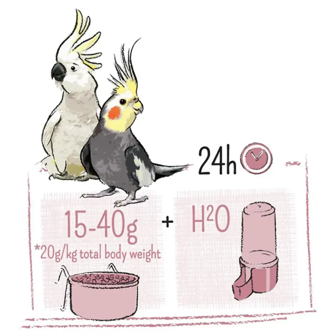 Sale Puur Parakit og kakaduefoder 2 kg Fuglefoder