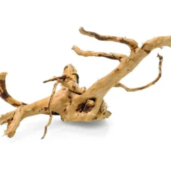 Discount Red moor rødder lille Aquascaping|Dekoration Til Terrarier