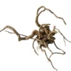 Hot Red moor rødder medium Aquascaping|Dekoration Til Terrarier