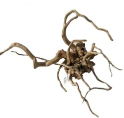 Discount Red moor rødder stor Aquascaping|Dekoration Til Terrarier