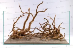 Red moor rødder XL Aquascaping|Dekoration Til Terrarier