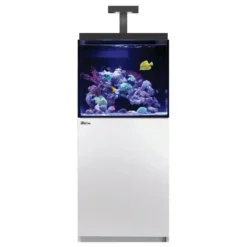 Discount Red Sea Akvariesæt Max E-170 Hvid Akvarier Til Saltvandsfisk|Akvarier