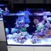 Clearance Red Sea Akvarium Max E-260 Hvid Akvarier Til Saltvandsfisk|Akvarier