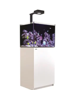 Outlet Red Sea Akvarium Reefer Deluxe Hvid 170 Akvarier Til Saltvandsfisk|Akvarier