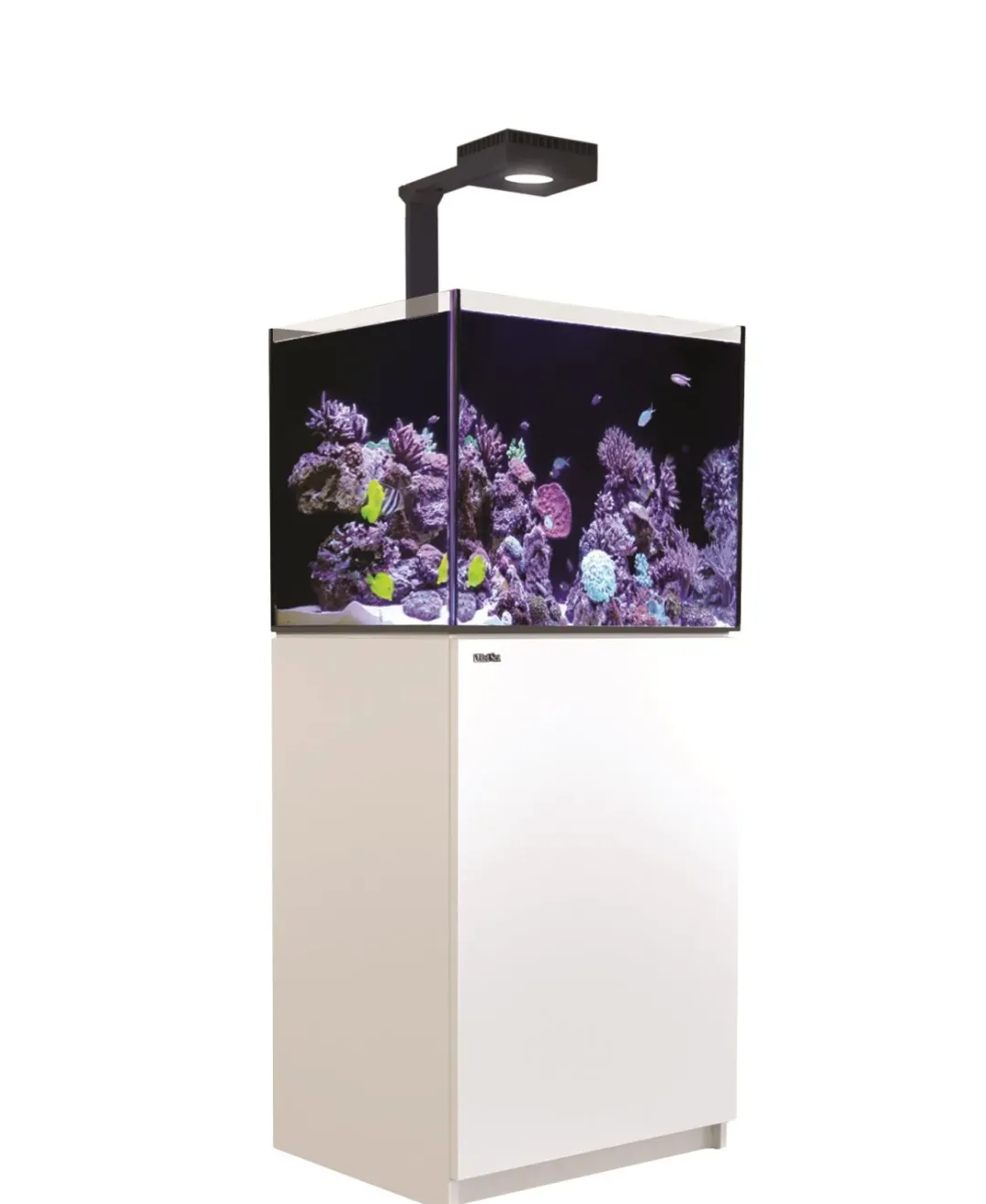 Outlet Red Sea Akvarium Reefer Deluxe Hvid 170 Akvarier Til Saltvandsfisk|Akvarier