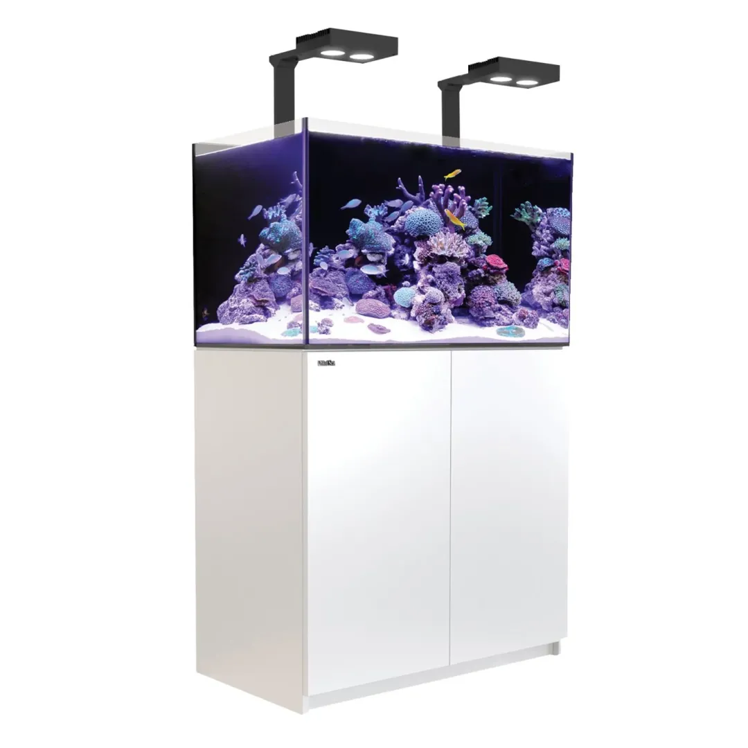 Clearance Red Sea Akvarium Reefer Deluxe Hvid 250 Akvarier Til Saltvandsfisk|Akvarier
