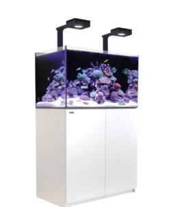 Clearance Red Sea Akvarium Reefer Deluxe Hvid 250 Akvarier Til Saltvandsfisk|Akvarier