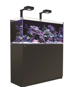 Discount Red Sea Akvarium Reefer Deluxe Sort 350 Akvarier Til Saltvandsfisk|Akvarier