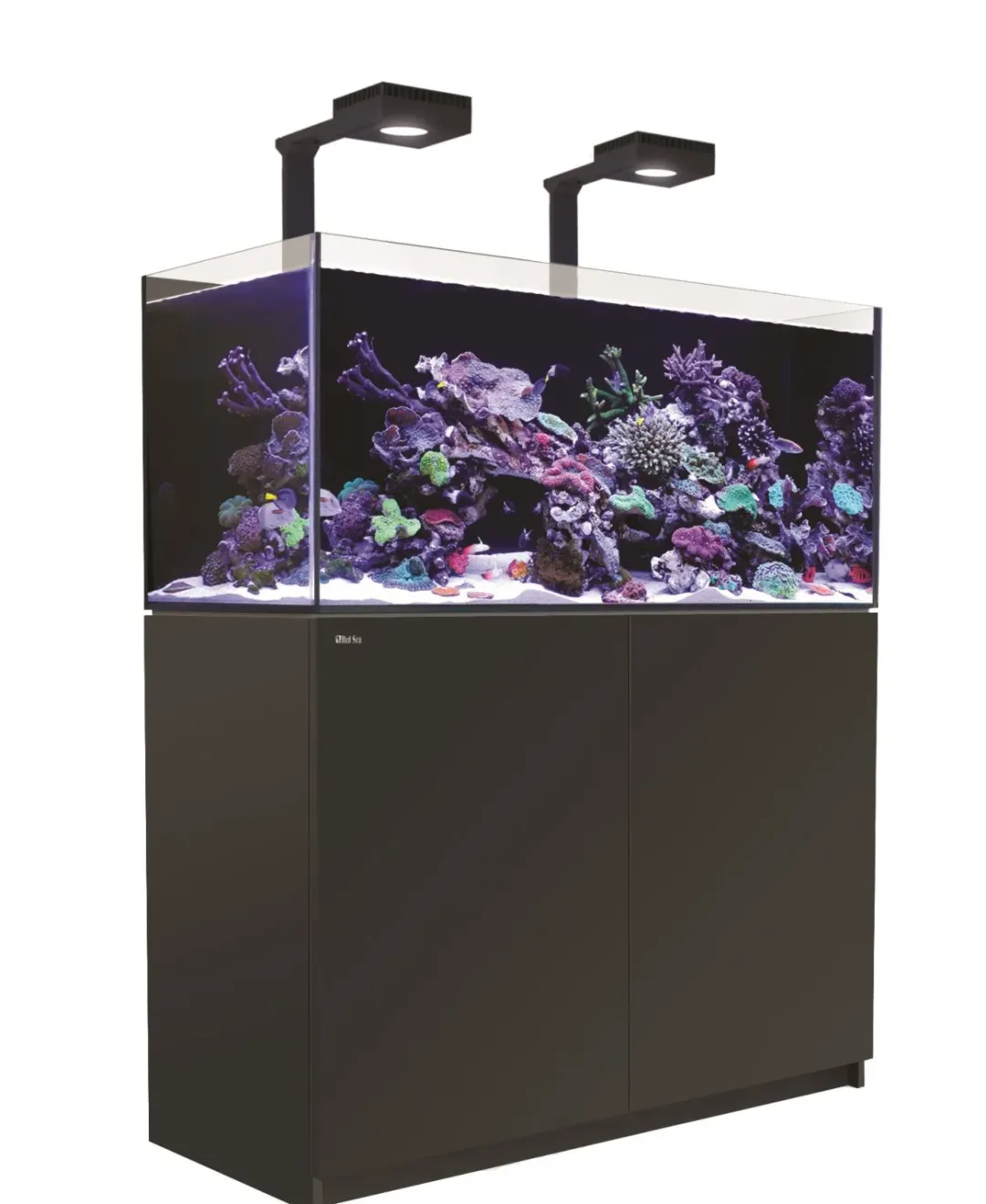 Discount Red Sea Akvarium Reefer Deluxe Sort 350 Akvarier Til Saltvandsfisk|Akvarier