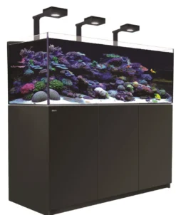 Red Sea Akvarium Reefer Deluxe XL Sort 525 Akvarier Til Saltvandsfisk|Akvarier