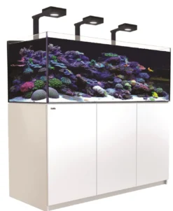 Discount Red Sea Akvarium Reefer Deluxe XL Hvid 525 Akvarier Til Saltvandsfisk|Akvarier