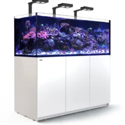 Hot Red Sea Akvarium Reefer Deluxe XXL Hvid 625 Akvarier Til Saltvandsfisk|Akvarier