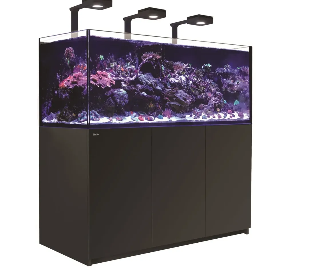 Discount Red Sea Akvarium Reefer Deluxe XXL Sort 625 Akvarier Til Saltvandsfisk|Akvarier