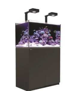 Red Sea Akvarium Reefer Deluxe Sort 250 Akvarier Til Saltvandsfisk|Akvarier