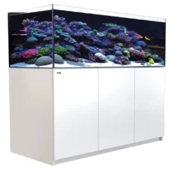 Red Sea Akvarium Reefer Hvid XL 525 Akvarier Til Saltvandsfisk|Akvarier