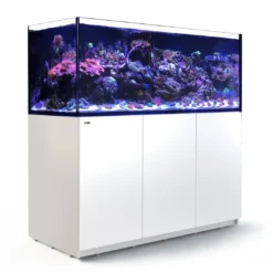 Best Red Sea Akvarium Reefer Hvid XXL 625 V3 Akvarier Til Saltvandsfisk|Akvarier