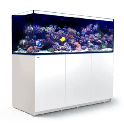 Online Red Sea Akvarium Reefer Hvid XXL 750 V3 Akvarier Til Saltvandsfisk|Akvarier