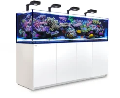 Hot Red Sea Akvarium Reefer 3XL 900 Deluxe Hvid Akvarier Til Saltvandsfisk|Akvarier