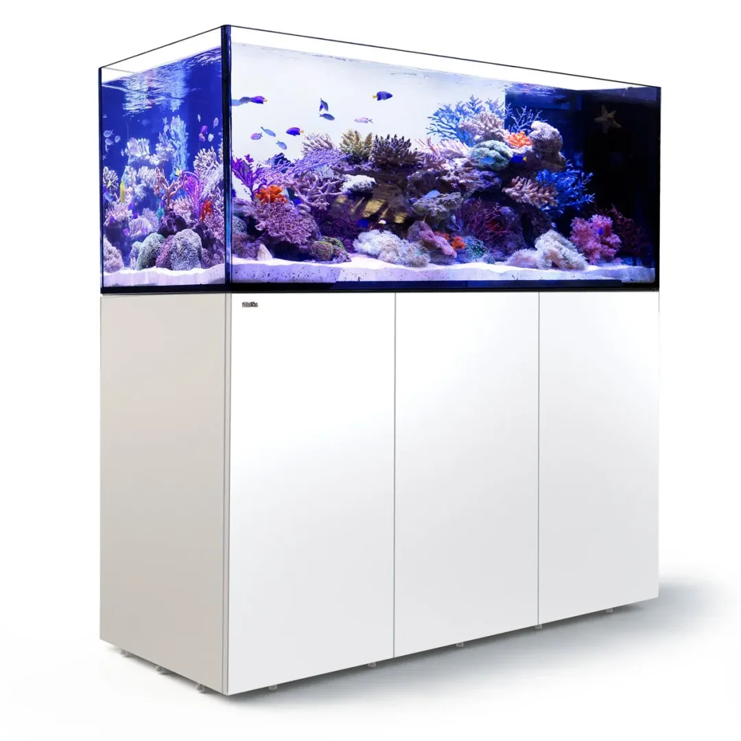 Hot Red Sea Akvarium sæt Peninsula P650 Hvid Akvarier Til Saltvandsfisk|Akvarier