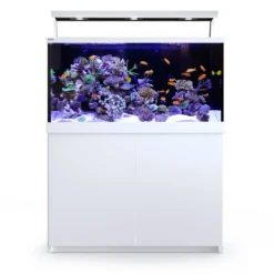 Discount Red Sea MAX S-500 Liter Hvid G2 Akvarier Til Saltvandsfisk|Akvarier