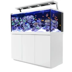 Best Red Sea MAX S-650 Liter Hvid G2 Akvarier Til Saltvandsfisk|Akvarier