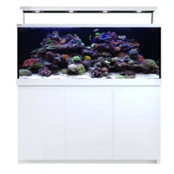 Best Red Sea MAX S-650 Liter Hvid G2 Akvarier Til Saltvandsfisk|Akvarier